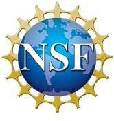 NSF logo